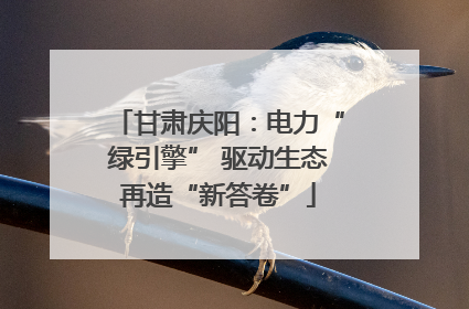 甘肃庆阳：电力“绿引擎” 驱动生态再造“新答卷”